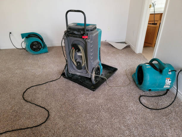 Best Carpet and Upholstery Water Damage Restoration in Arden Arde, CA